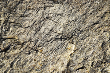 structure of the gray mica
