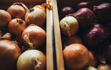 Red and Yellow Onions