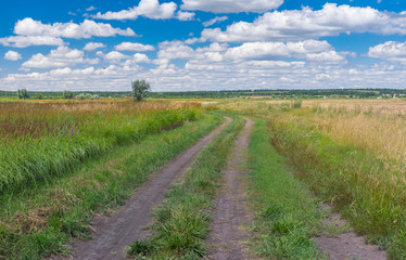 Fototapeta na wymiar Earth road through meadow to remote village Zeleny Guy near Dnipro city in central Ukraine