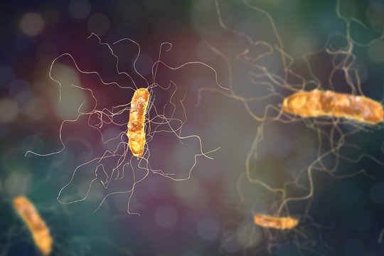 Clostridium difficile bacterium, 3D illustration. Bacteria which cause pseudomembraneous colitis and are associated with nosocomial antibiotic resistance