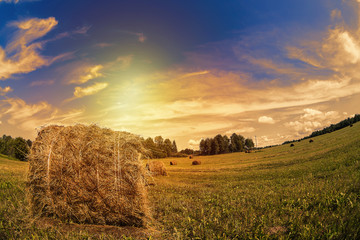 Haystack rolls on the field with green grass and cloudy blue sky during sunset. Fish-eye lens