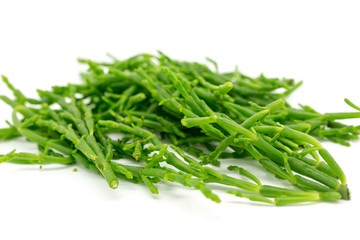 Samphire