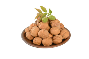 Walnuts shelled in a bowl isolated on white background. Closeup view. Walnut kernels in a bowl