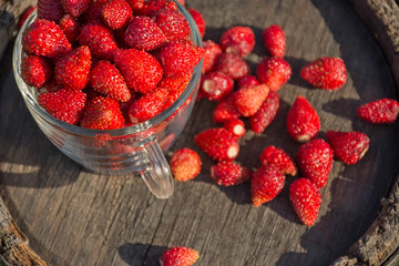 Wild strawberry in a mug, in the background a lot of wild strawberries