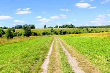 The road in the fields with grass mowed along both sides.