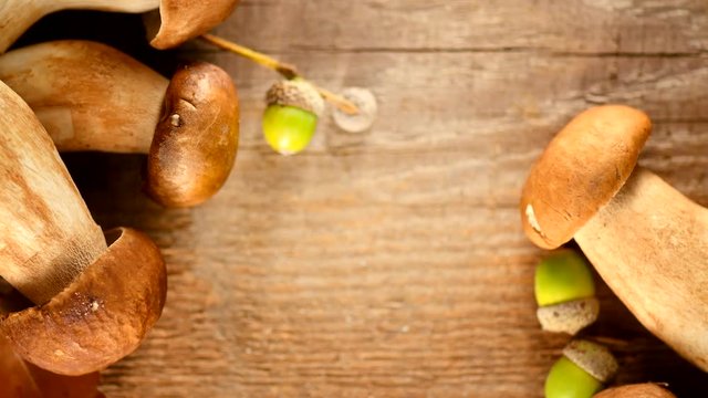 Ceps mushroom. Boletus closeup on wooden rustic table. 4K UHD video 3840X2160