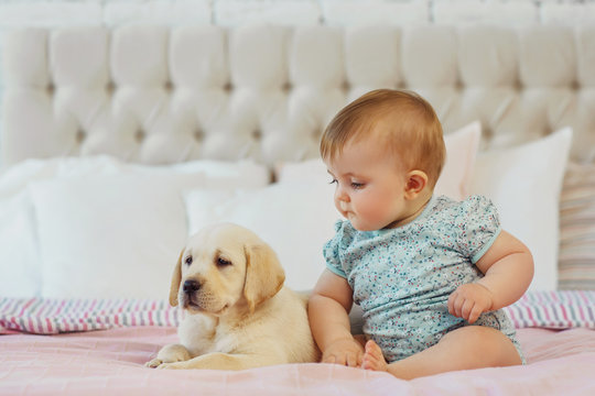 Little girl with labrador puppy