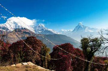Crédence de cuisine en verre imprimé Dhaulagiri Belle vue sur le massif de l& 39 Annapurna Himalaya vu du village de Tadapani dans la zone de Gandaki au Népal.