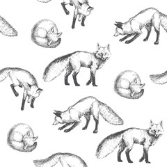 Vector seamless pattern with cute animal characters. Hand drawn illustration with walking, playing and sleeping foxes isolated on background. Black and white texture in sketch style