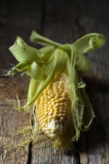 Fresh sweet corn on cobs .