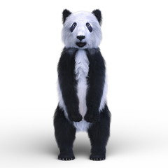 Fototapeta premium パンダ