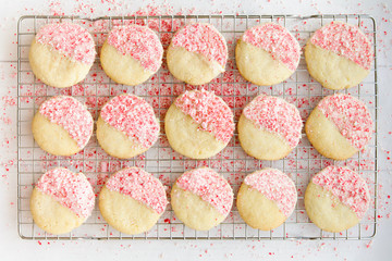 Christmas peppermint sugar cookies