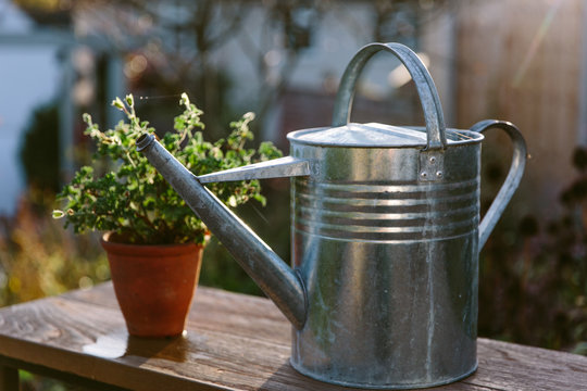 Metal watering can on a sunny garden bench.