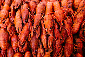 Red boiled crawfish