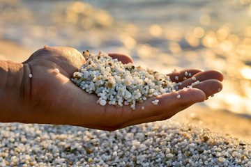 hand with quartz grain, Is Arutas Beach. Sardinia, Italy
