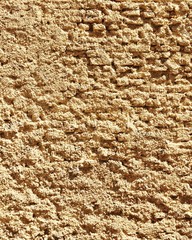Sand wall - Texture (Pesaro, Italy)