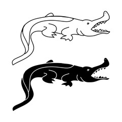 Contour and silhouette of a crocodile on white background, vector