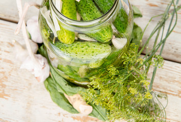 Brined pickles in a jar, with all the ingredients for making them (garlic, dill and horseradish)