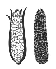 Corn