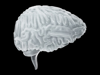 Frozen brain cryogenic concept. Cerebellum. Human brain freeze 3D illustration