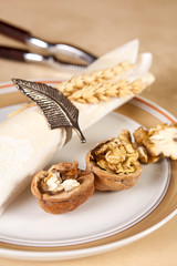 Nutcracker and walnuts