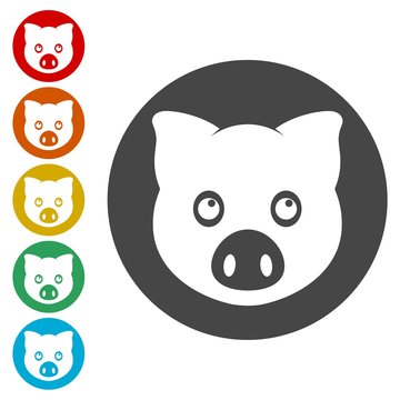 Vector pig icons set - Illustration  