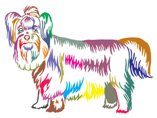 Colorful decorative standing portrait of Yorkshire Terrier vector illustration