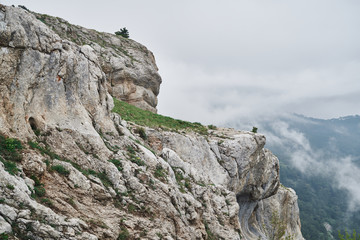 fields, meadows, nature, mountains, cliff, mist, beauty