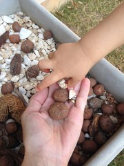 Mãos de mãe e filho 