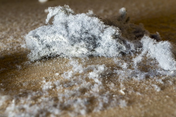 dust dirt and crumbles on the hardwood floor