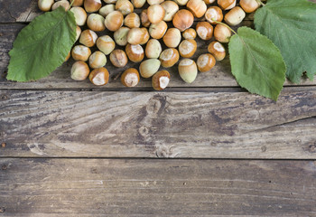 Fresh hazelnuts and leaves on wooden table with copy space