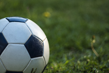 Fototapeta premium Soccer ball on grass