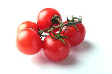 Sprig of fresh tomatoes with green leaves isolated on white background.