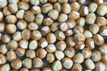 Hazelnuts, freshly picked. Full frame photo