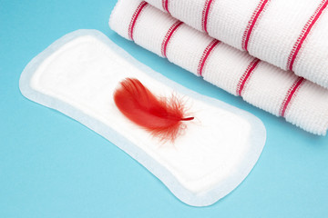 Terry towels, red feather on menstrual woman pad for blood period. Menstruation sanitary pad, personal hygiene. Woman critical days, menstruation cycle. Hygiene concept photo, personal care.