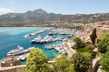 The marina in Calvi, Corsica, France - 168806600
