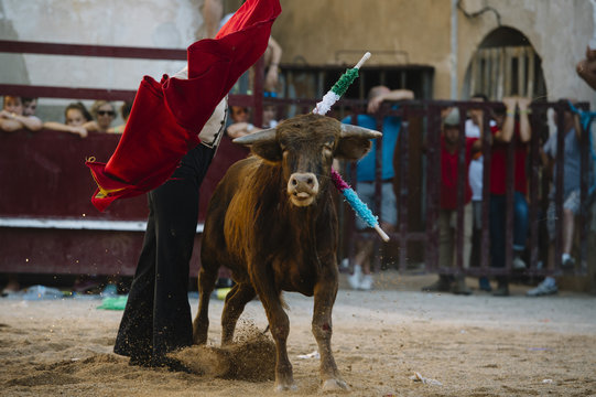Corrida. Matador Fighting in a typical Spanish Bullfight