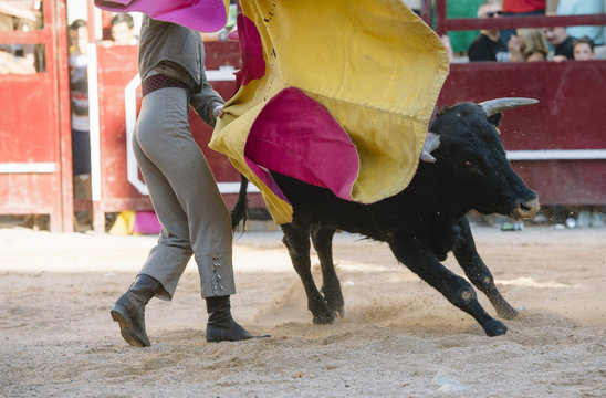 Corrida. Matador Fighting In A Typical Spanish Bullfight