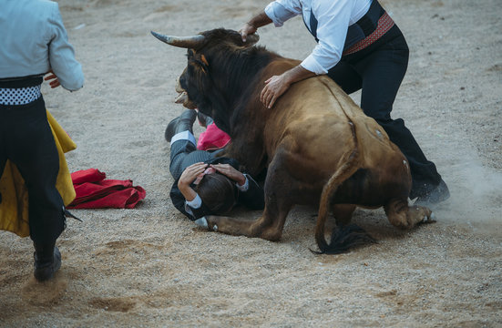 Accident. Matador woman Fighting in a typical Spanish Bullfight