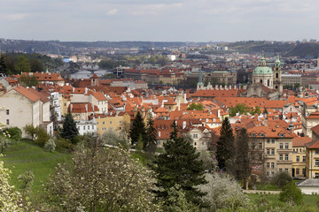 Fototapeta na wymiar Spring Prague City with St. Nicholas' Cathedral and the green Nature and flowering Trees, Czech Republic