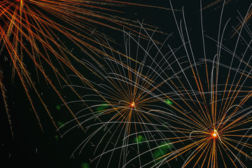 Obraz premium Firework with spider effect. Appears in the sky as a series of radial lines much like the legs of a spider.