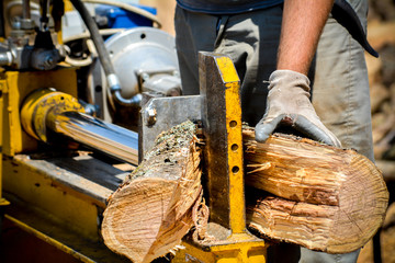 cutting woods in logs