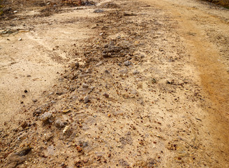 desert 