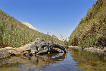 Cañón de los perdidos