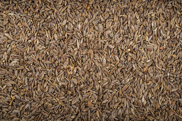 Kummel seeds that occupy the whole pictur