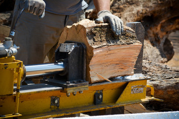cutting woods in logs