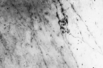 Marble Detail in White