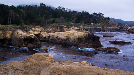 Fototapeta na wymiar Pt. Lobos California Lagoon