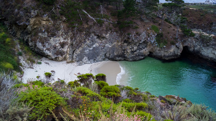 Point Lobos, CA - Cove