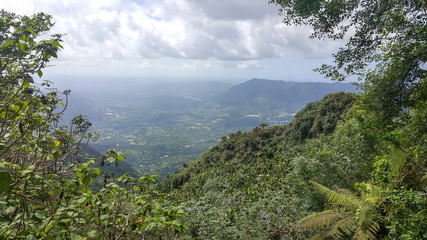Rainforest Landscape, Puerto Rico 